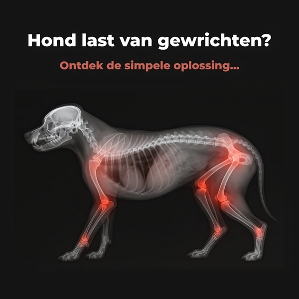 A high-contrast, black-background creative featuring an X-ray scan of a dog with red-highlighted areas indicating joint discomfort, paired with a direct problem-based headline.